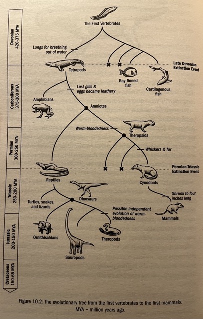 IMG_3197 Medium.jpeg