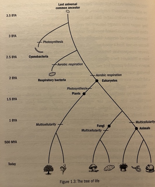 IMG_3198 Medium.jpeg