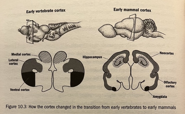IMG_3199 Medium.jpeg