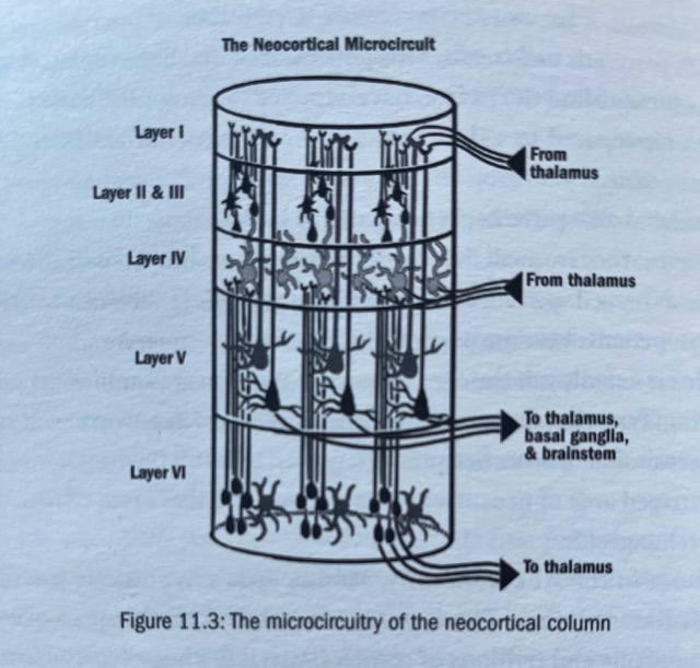 IMG_3200 Medium.jpeg