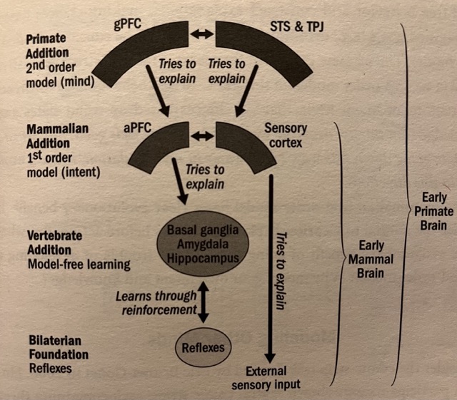 IMG_3221 Medium.jpeg