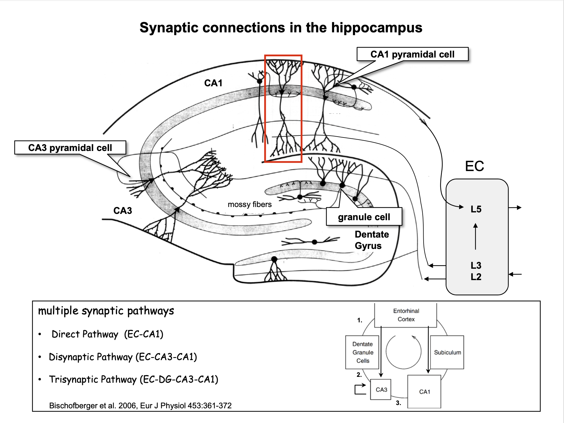 Pasted image 20221122172221.png