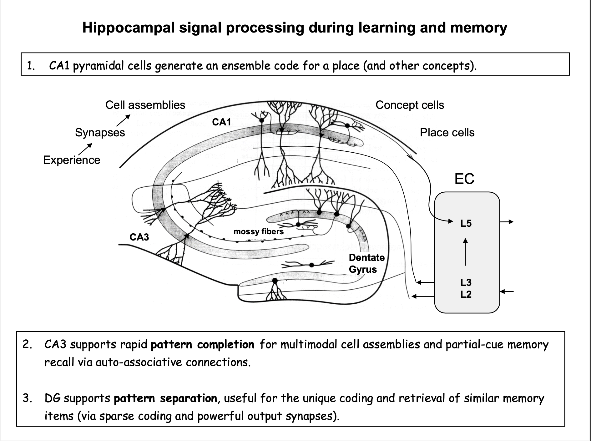 Pasted image 20221122173721.png